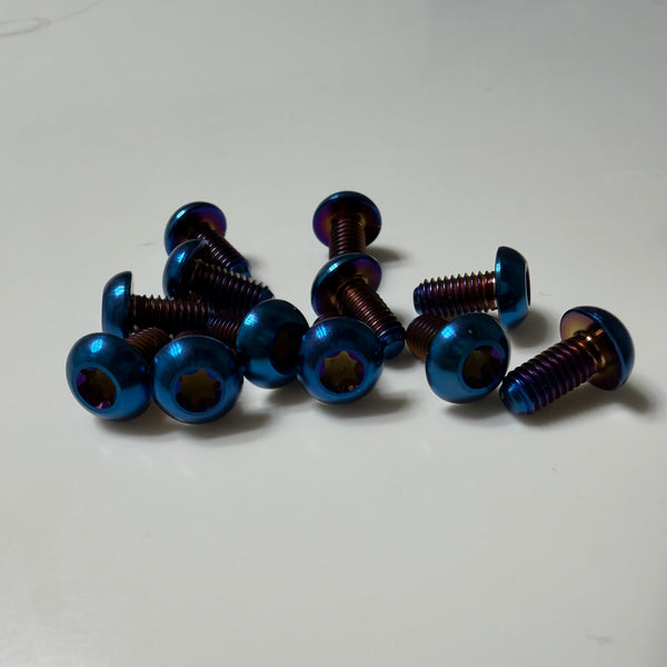 Titanium Frame Bolts(BACKORDER)