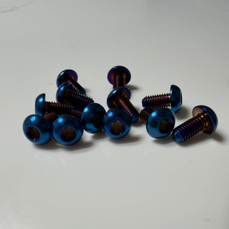 Titanium Frame Bolts(BACKORDER)